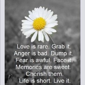 Meet your Posher, Noreen